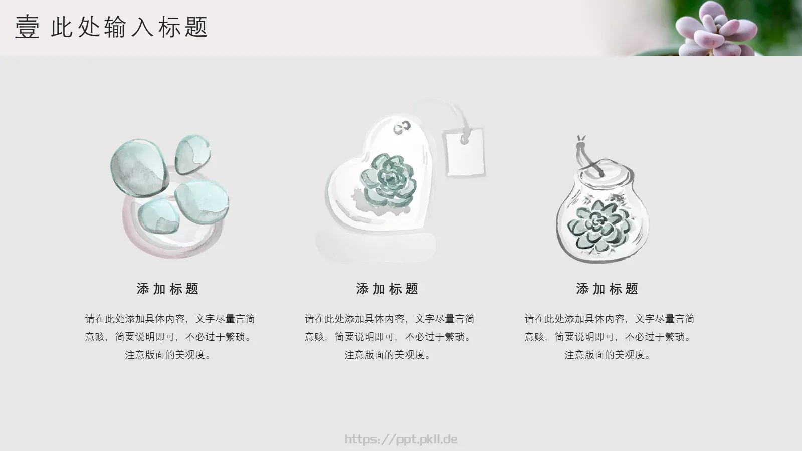清新多肉植物商务汇报PPT模板 第 5 页预览图