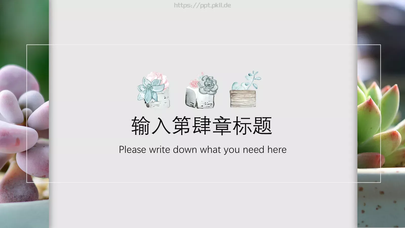 清新多肉植物商务汇报PPT模板 第 19 页预览图