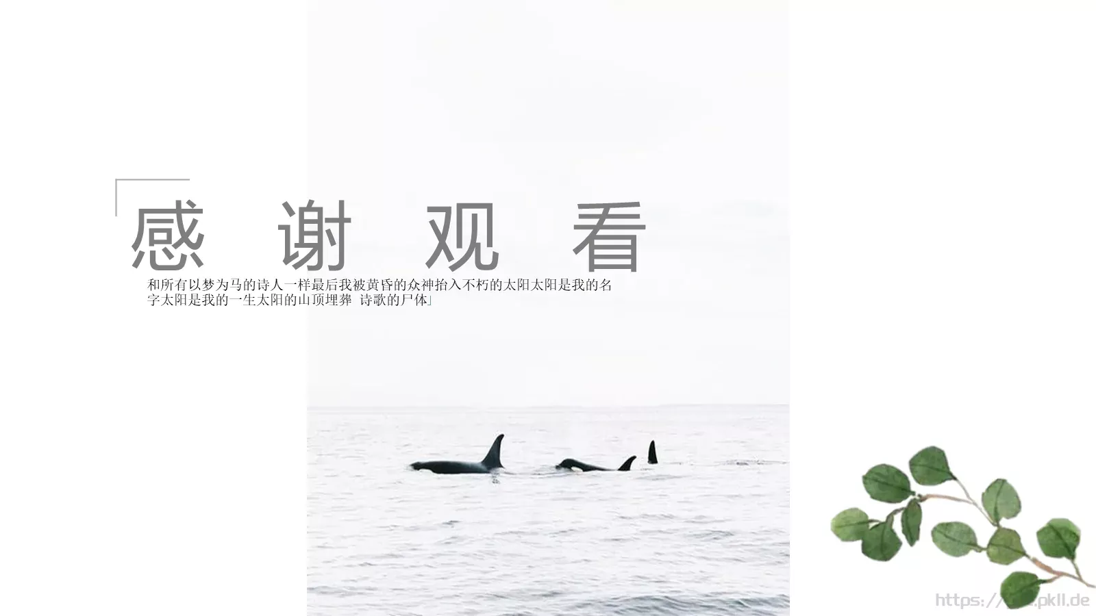 通用模板以梦为马通用 第 19 页预览图