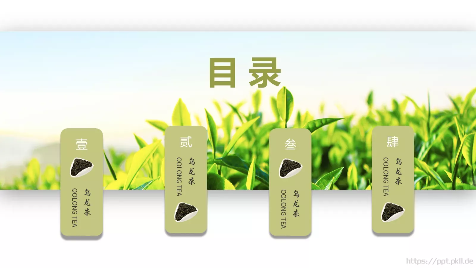 清新绿色茶产品宣传介绍PPT模板 第 2 页缩略图