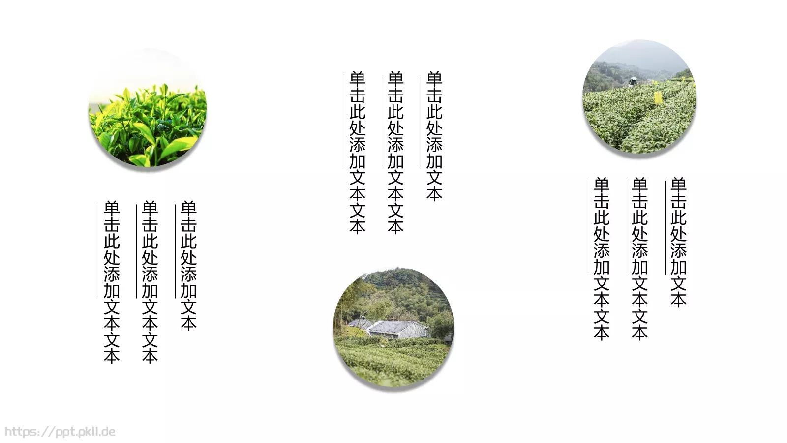 清新绿色茶产品宣传介绍PPT模板 第 10 页预览图