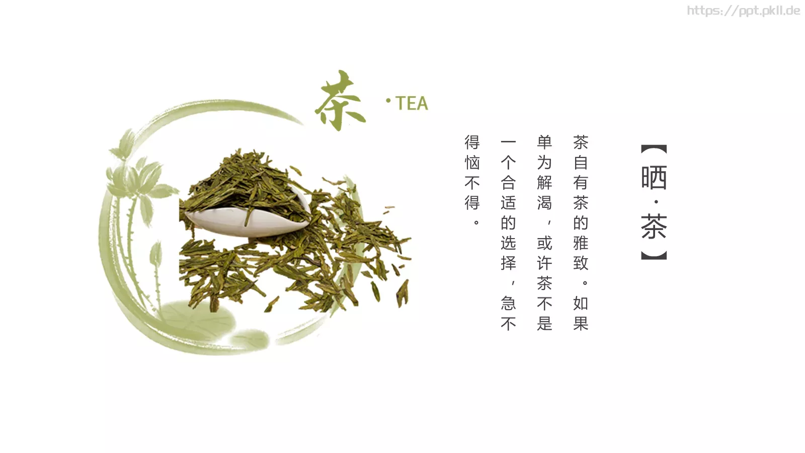 清新绿色茶产品宣传介绍PPT模板 第 11 页预览图