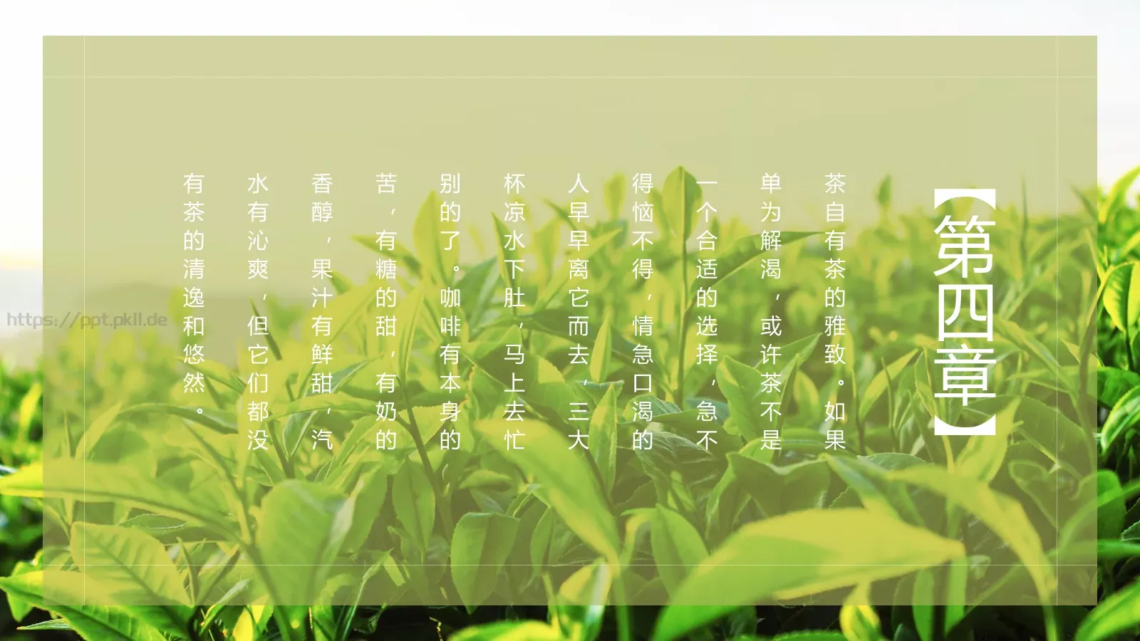清新绿色茶产品宣传介绍PPT模板 第 18 页预览图