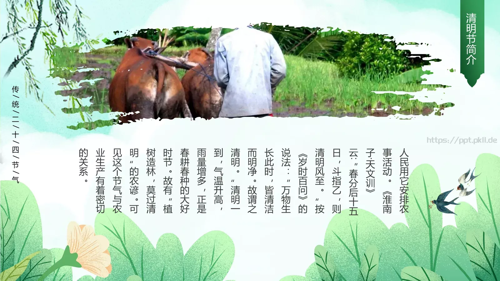 清明节文明祭扫主题班会PPT模板 第 6 页预览图