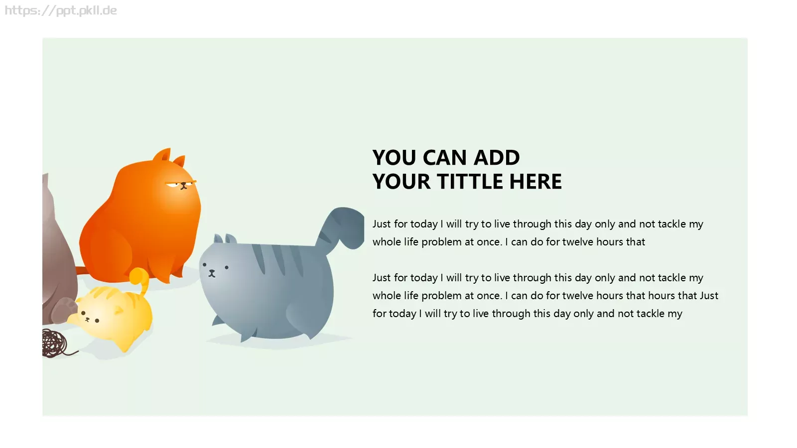 猫咪的幸福生活PPT模板 第 21 页预览图
