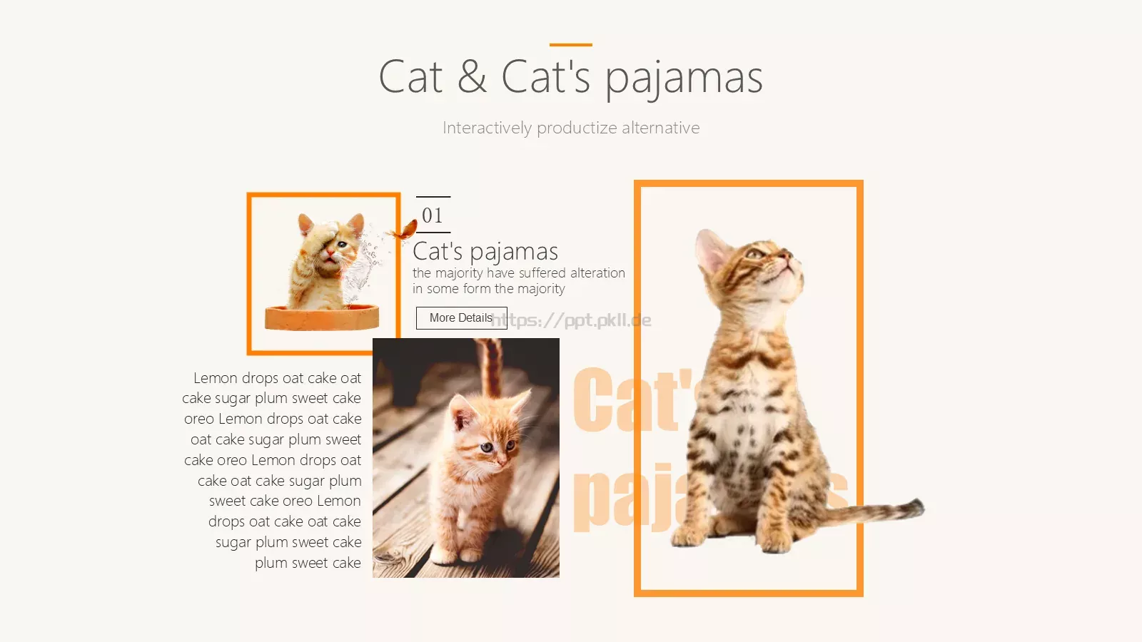 猫咪宠物可爱趣味PPT模板 第 9 页预览图