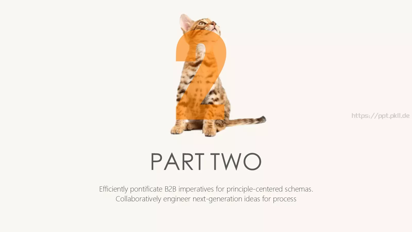 猫咪宠物可爱趣味PPT模板 第 8 页预览图