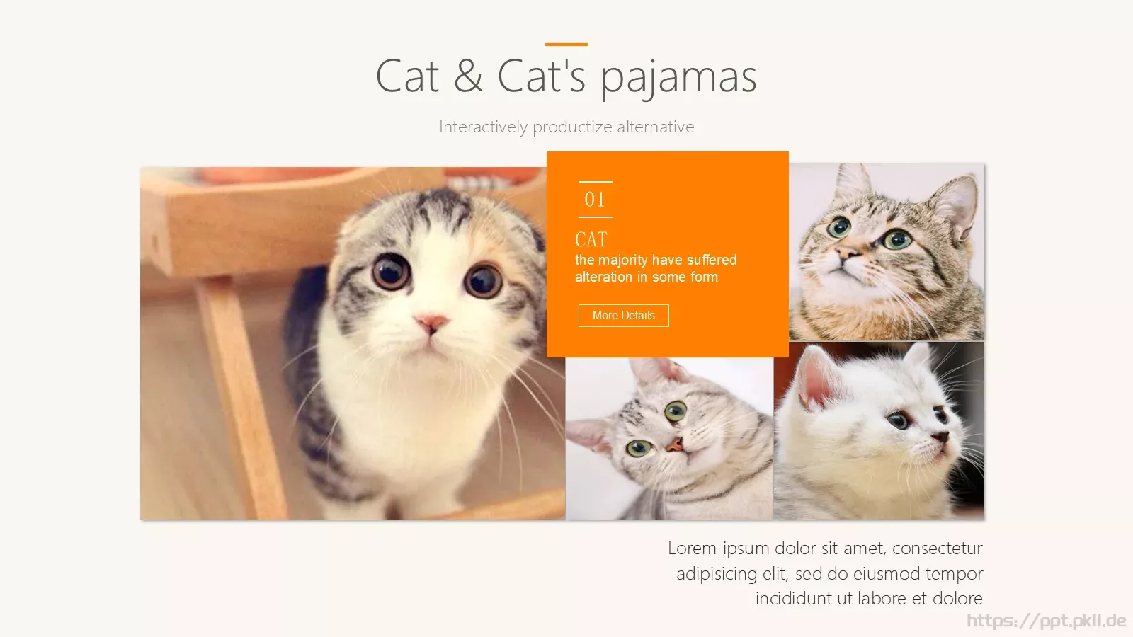 猫咪宠物可爱趣味PPT模板 第 11 页预览图