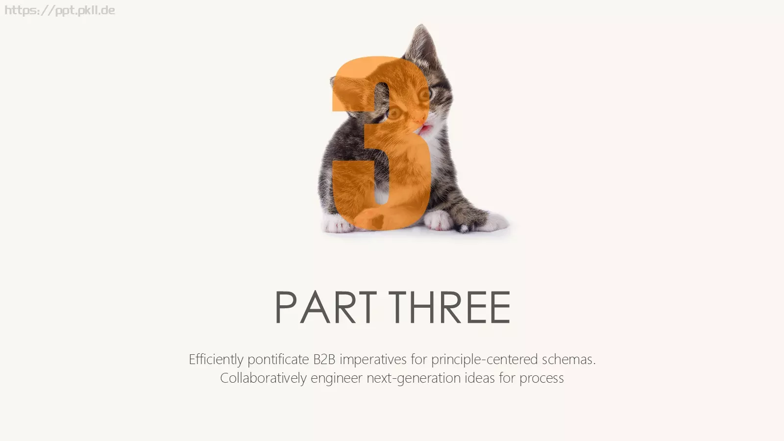 猫咪宠物可爱趣味PPT模板 第 13 页预览图