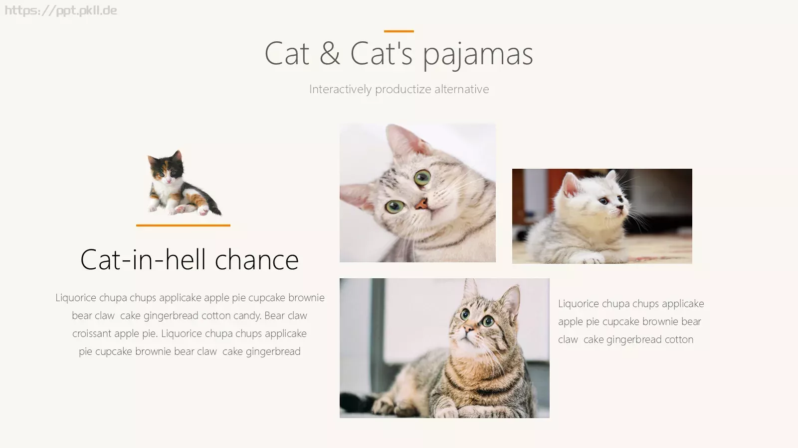 猫咪宠物可爱趣味PPT模板 第 19 页预览图