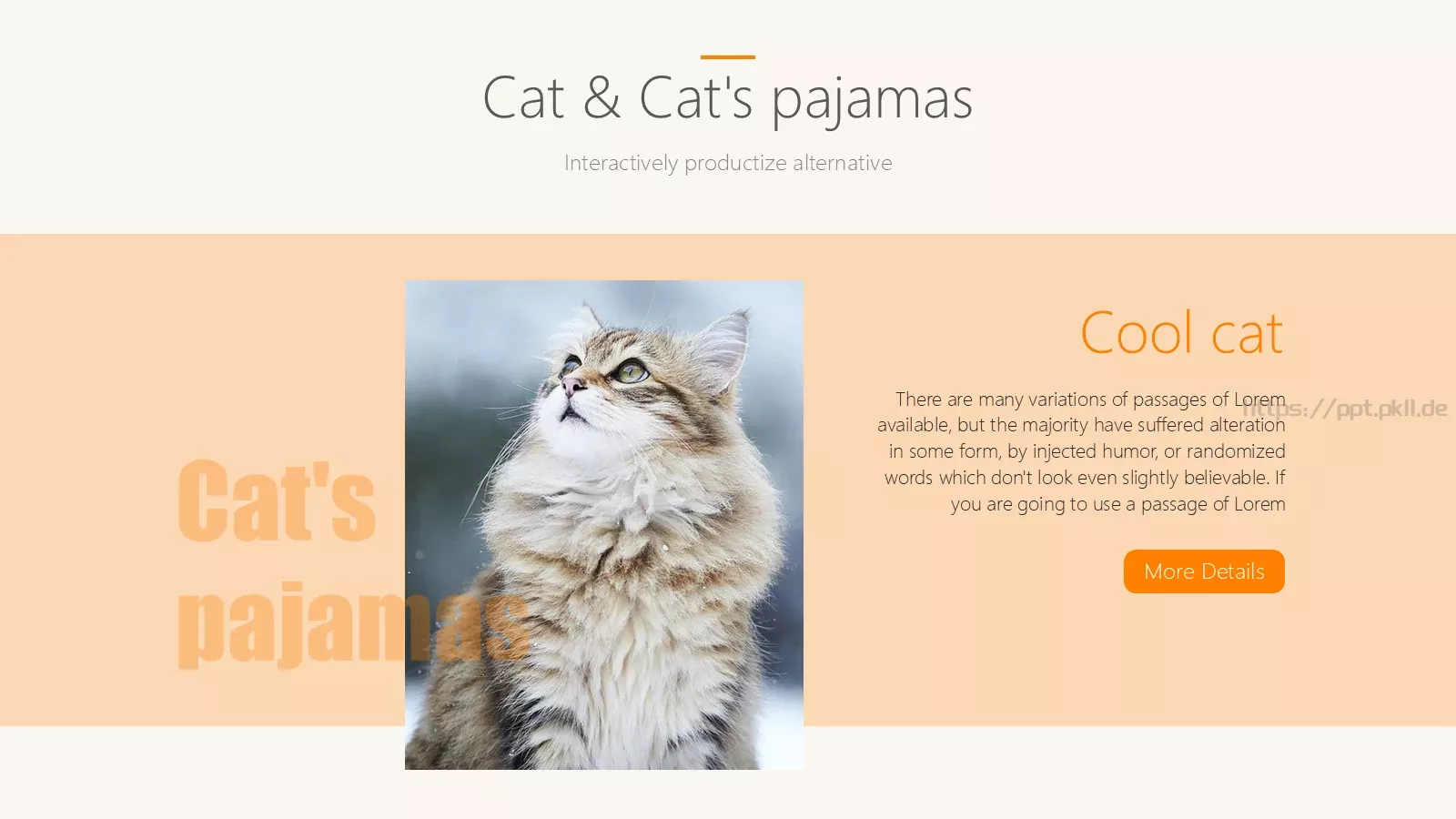 猫咪宠物可爱趣味PPT模板 第 21 页预览图