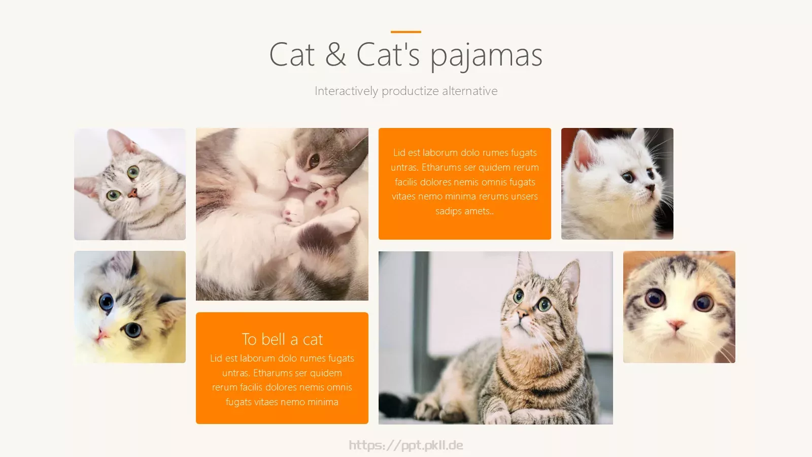 猫咪宠物可爱趣味PPT模板 第 22 页预览图