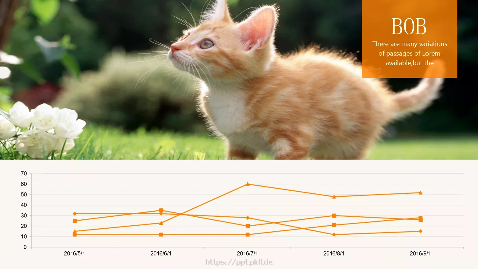 可爱猫咪宠物卡通PPT模板 第 5 页预览图