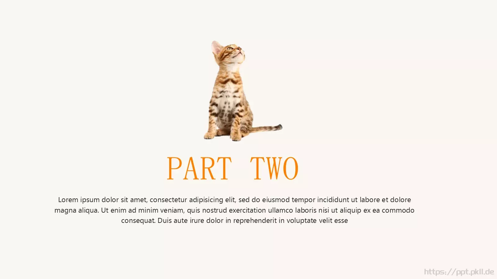 可爱猫咪宠物卡通PPT模板 第 8 页预览图