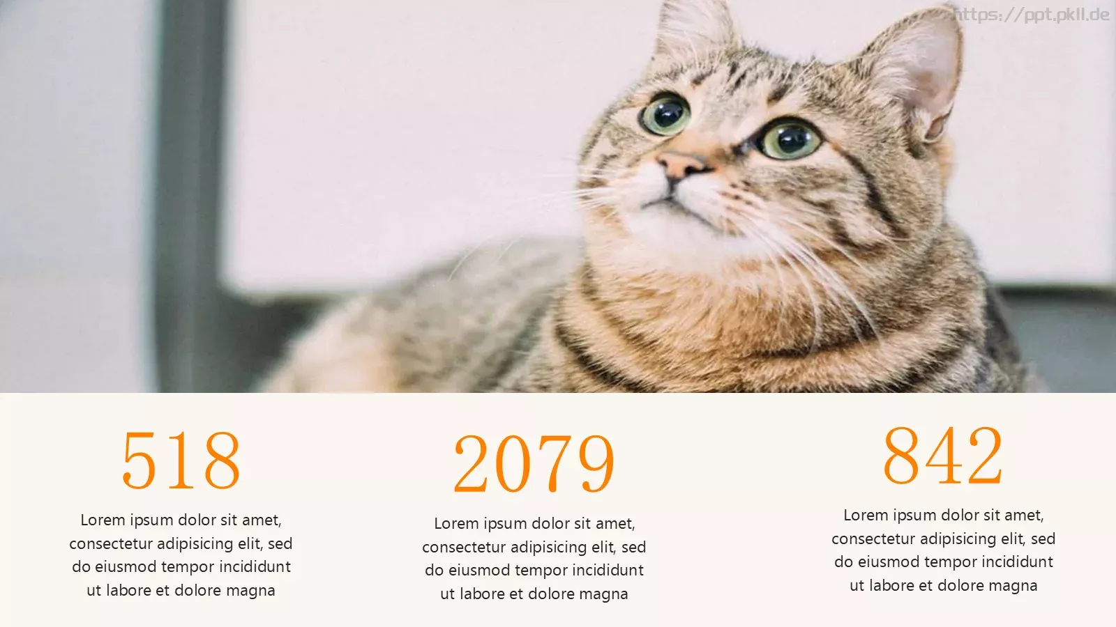 可爱猫咪宠物卡通PPT模板 第 10 页预览图