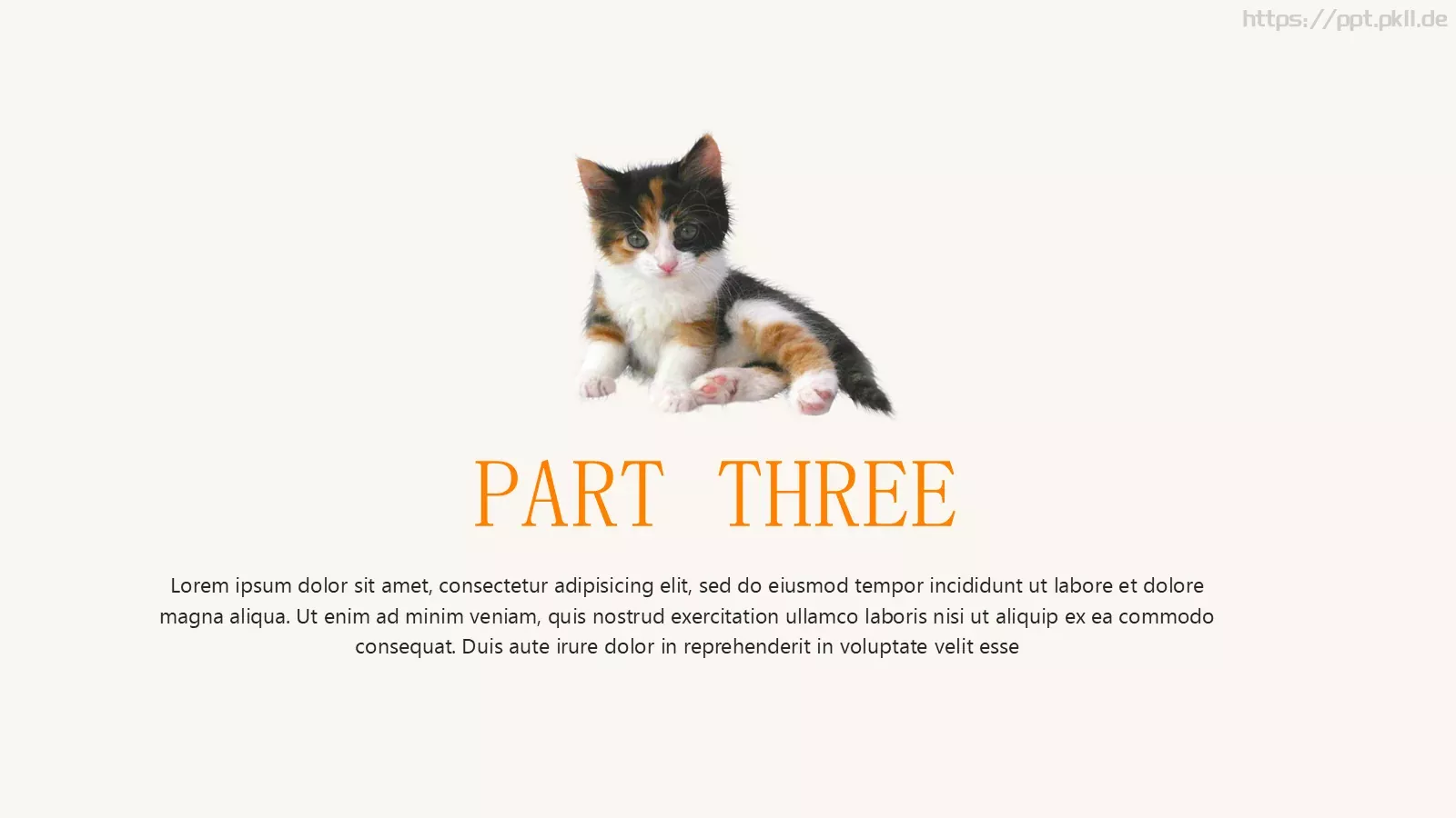 可爱猫咪宠物卡通PPT模板 第 13 页预览图