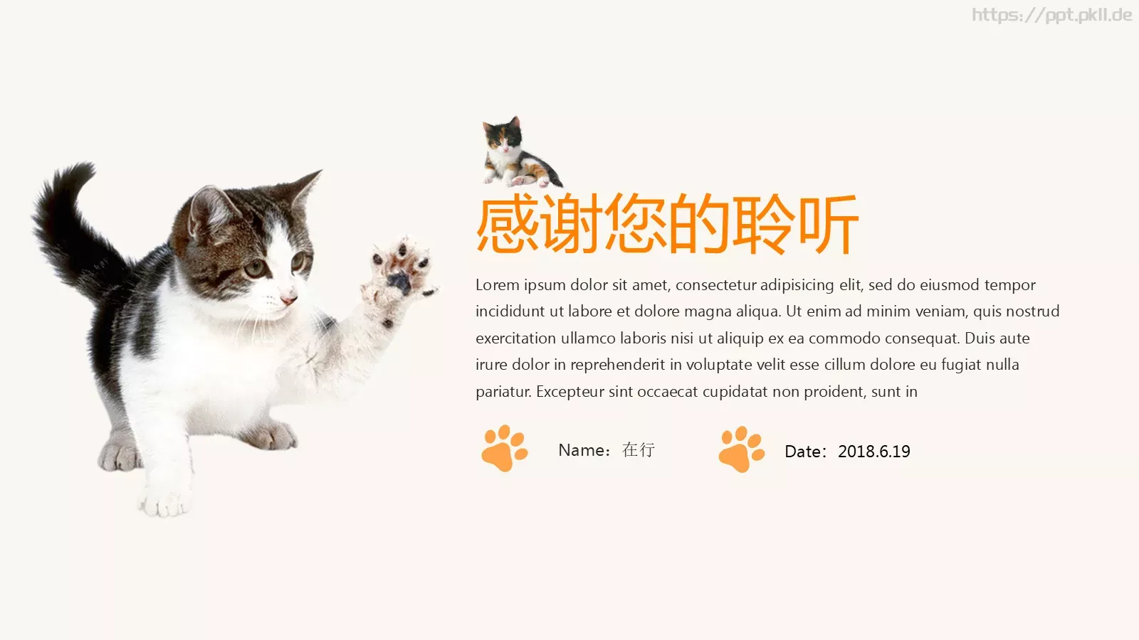 可爱猫咪宠物卡通PPT模板 第 23 页预览图
