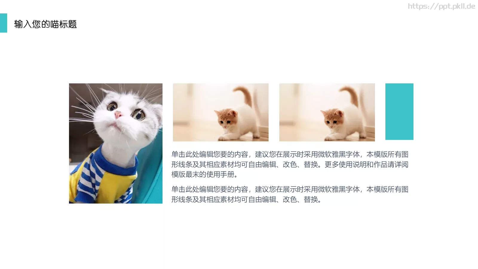 猫咪主题通用PPT模板 第 17 页预览图