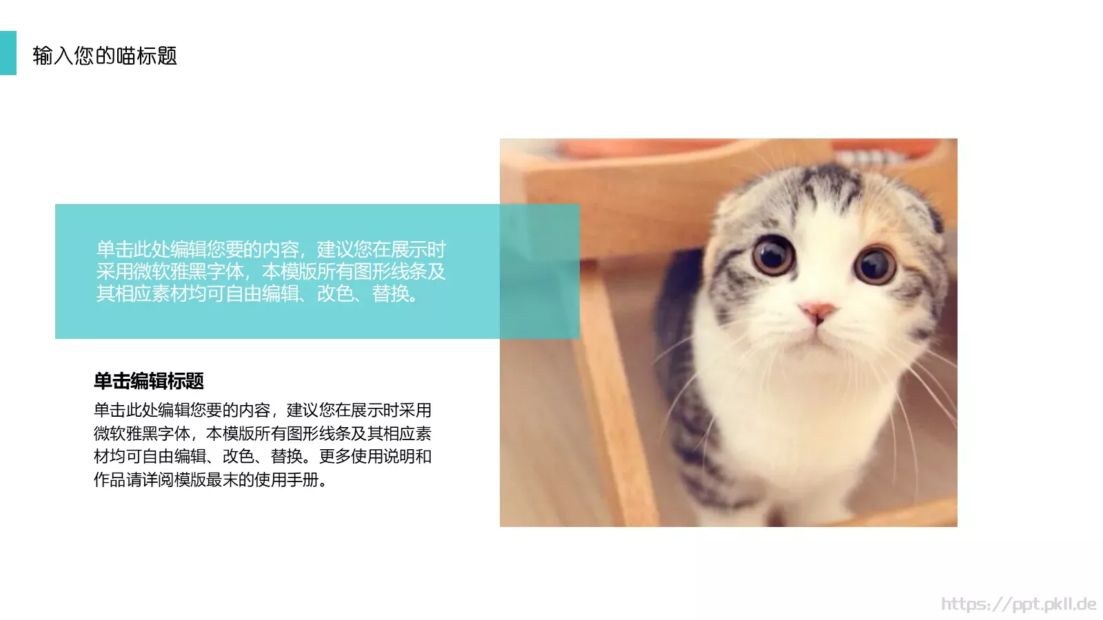 猫咪主题通用PPT模板 第 23 页预览图