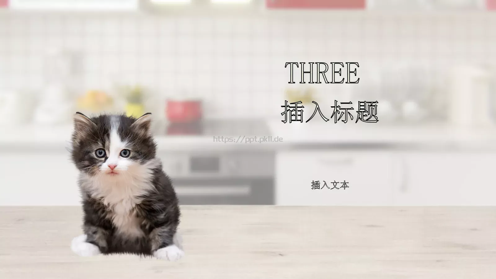 咪故事绘本PPT模板 第 16 页预览图