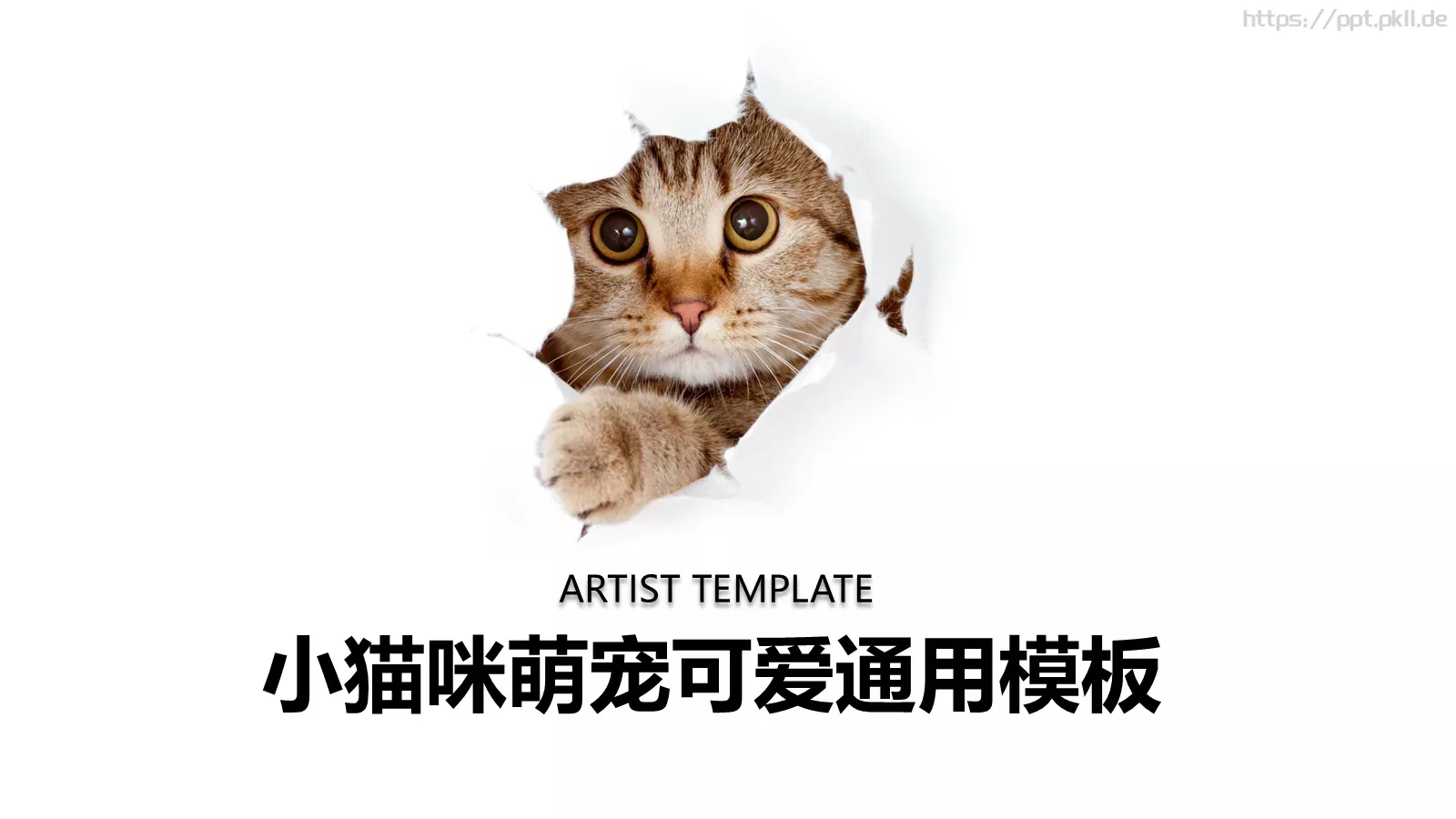 小猫咪萌宠可爱通用PPT模板 第 1 页缩略图