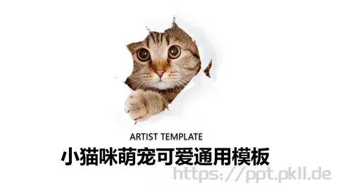 小猫咪萌宠可爱通用PPT模板 缩略图