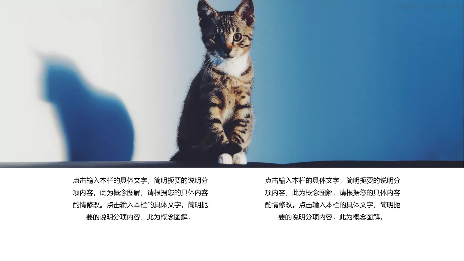 小猫咪萌宠可爱通用PPT模板 第 10 页预览图