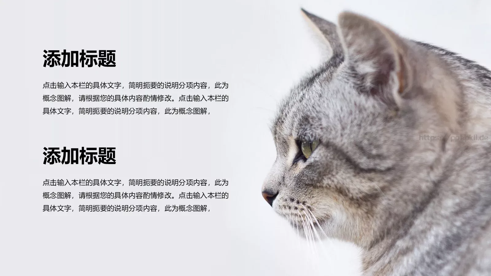 小猫咪萌宠可爱通用PPT模板 第 9 页预览图