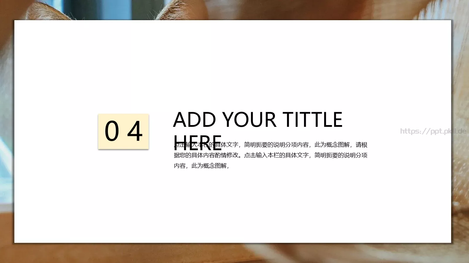 小猫咪萌宠可爱通用PPT模板 第 15 页预览图