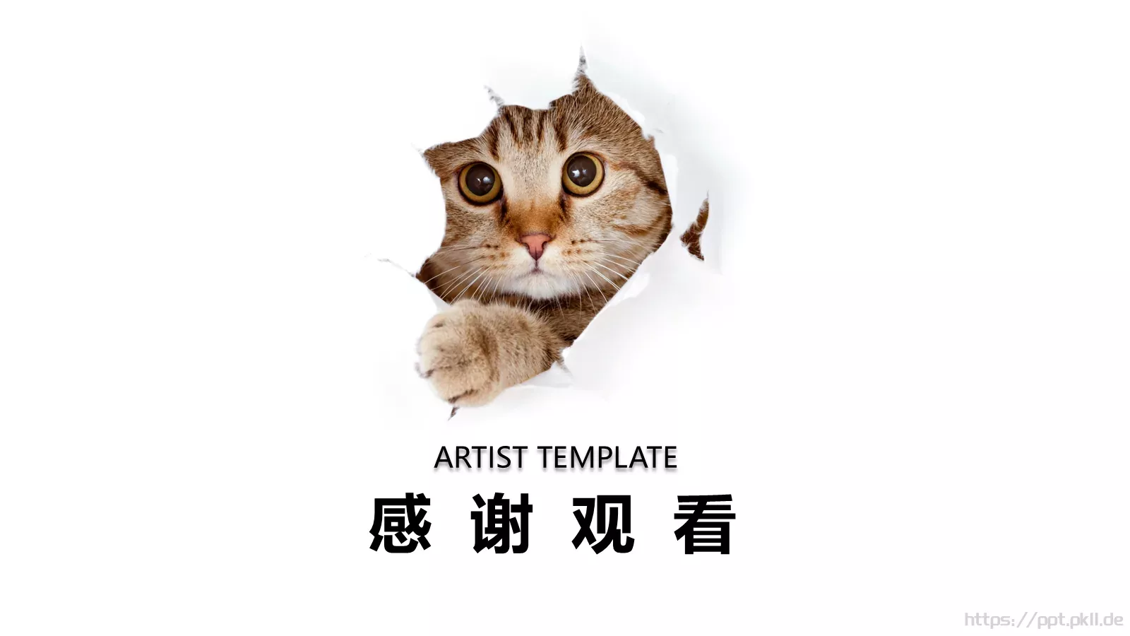 小猫咪萌宠可爱通用PPT模板 第 18 页预览图