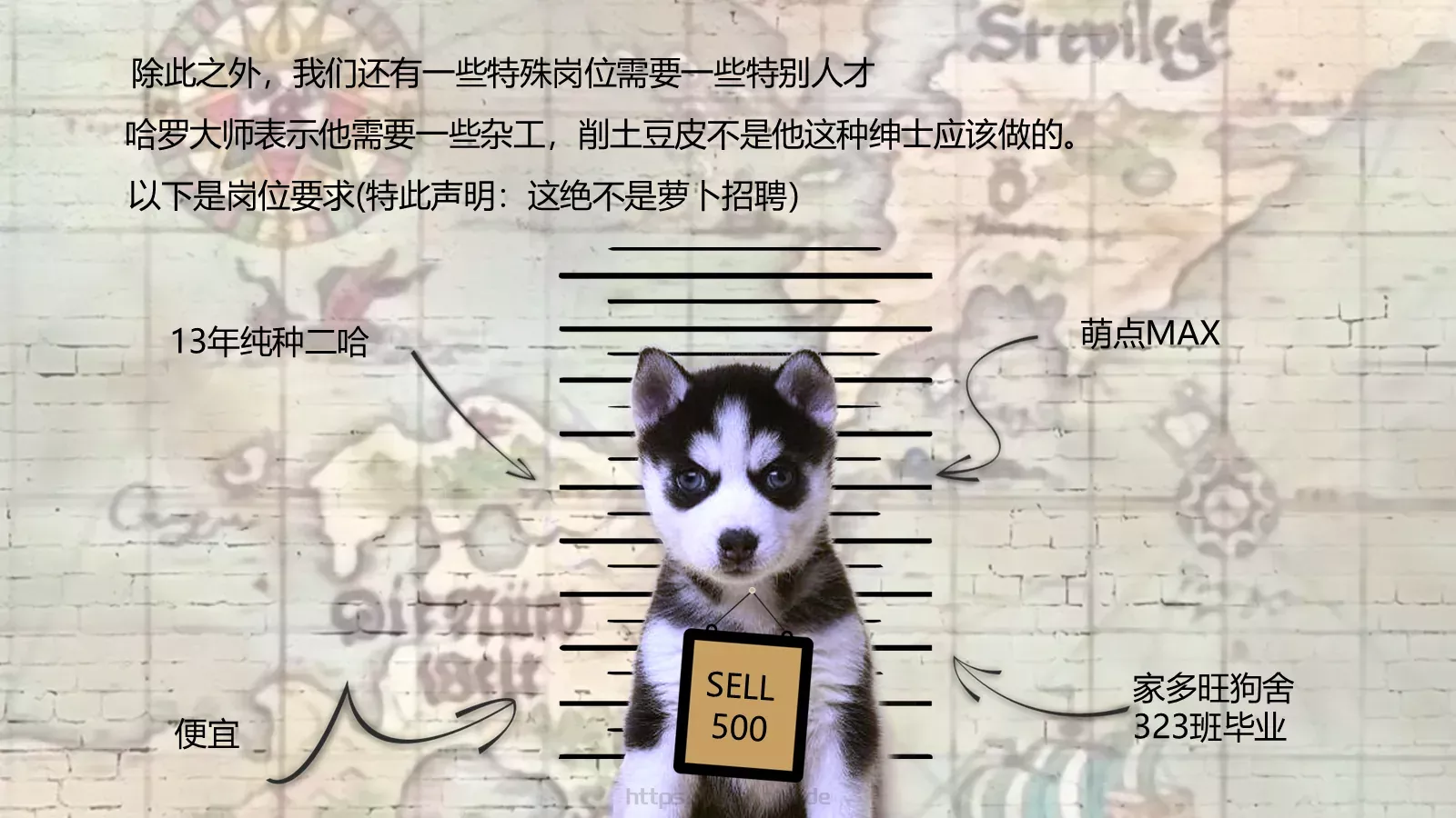 猫咪主题可爱卡通PPT模板 第 5 页预览图