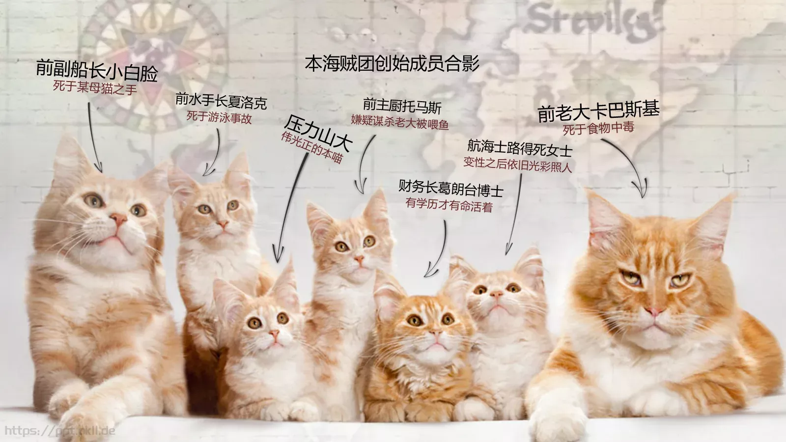 猫咪主题可爱卡通PPT模板 第 13 页预览图
