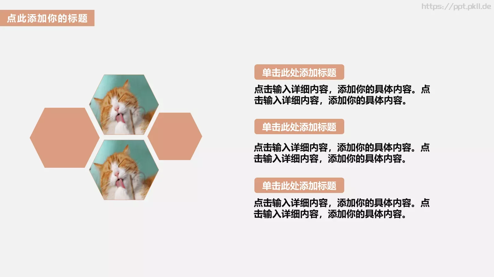 毕业答辩可爱猫咪儿童课件 第 9 页预览图