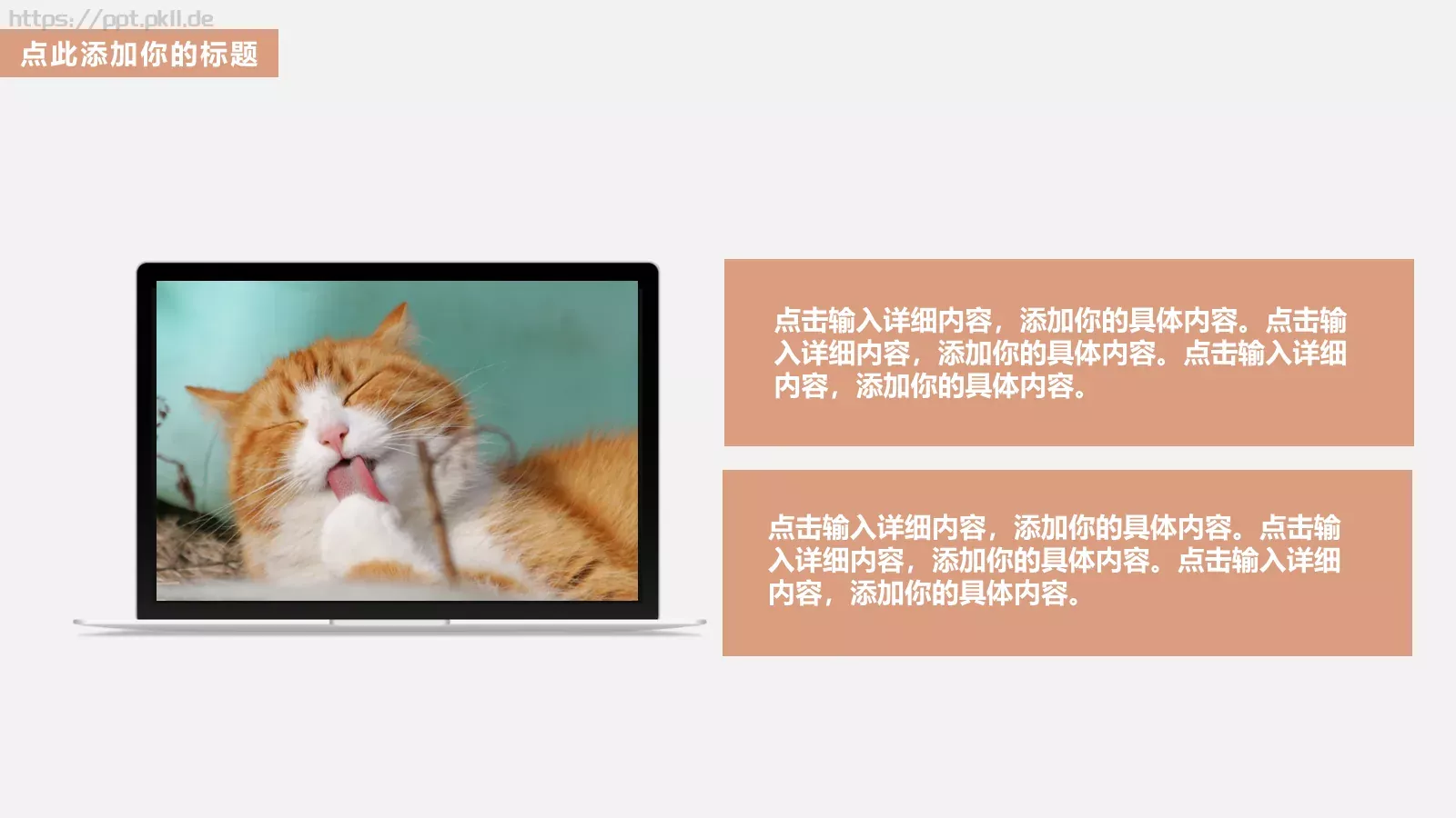 毕业答辩可爱猫咪儿童课件 第 16 页预览图