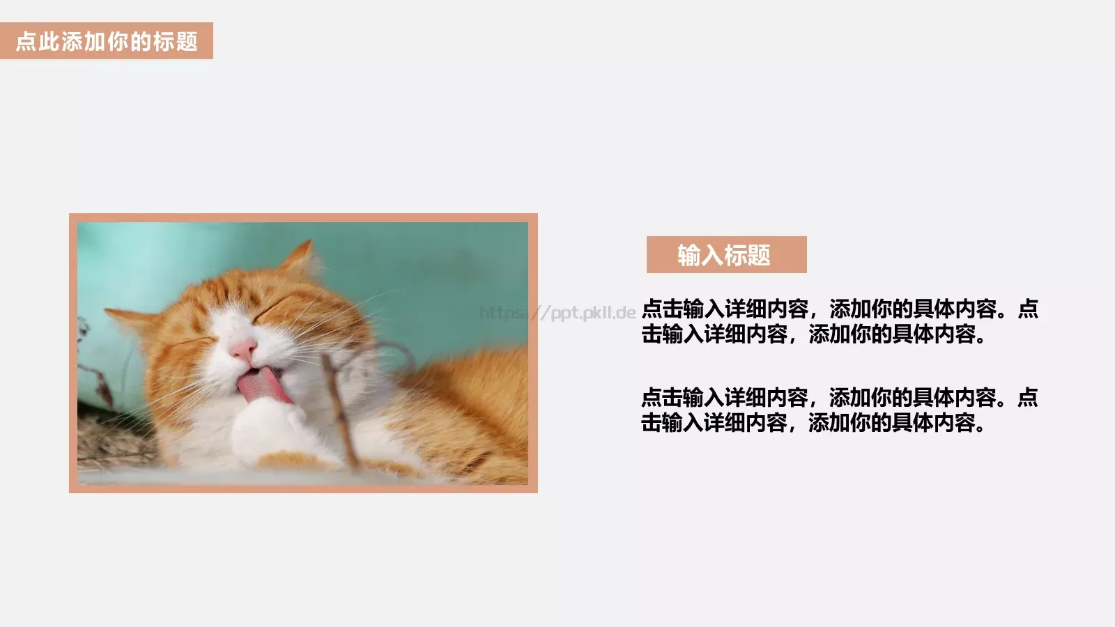 毕业答辩可爱猫咪儿童课件 第 19 页预览图