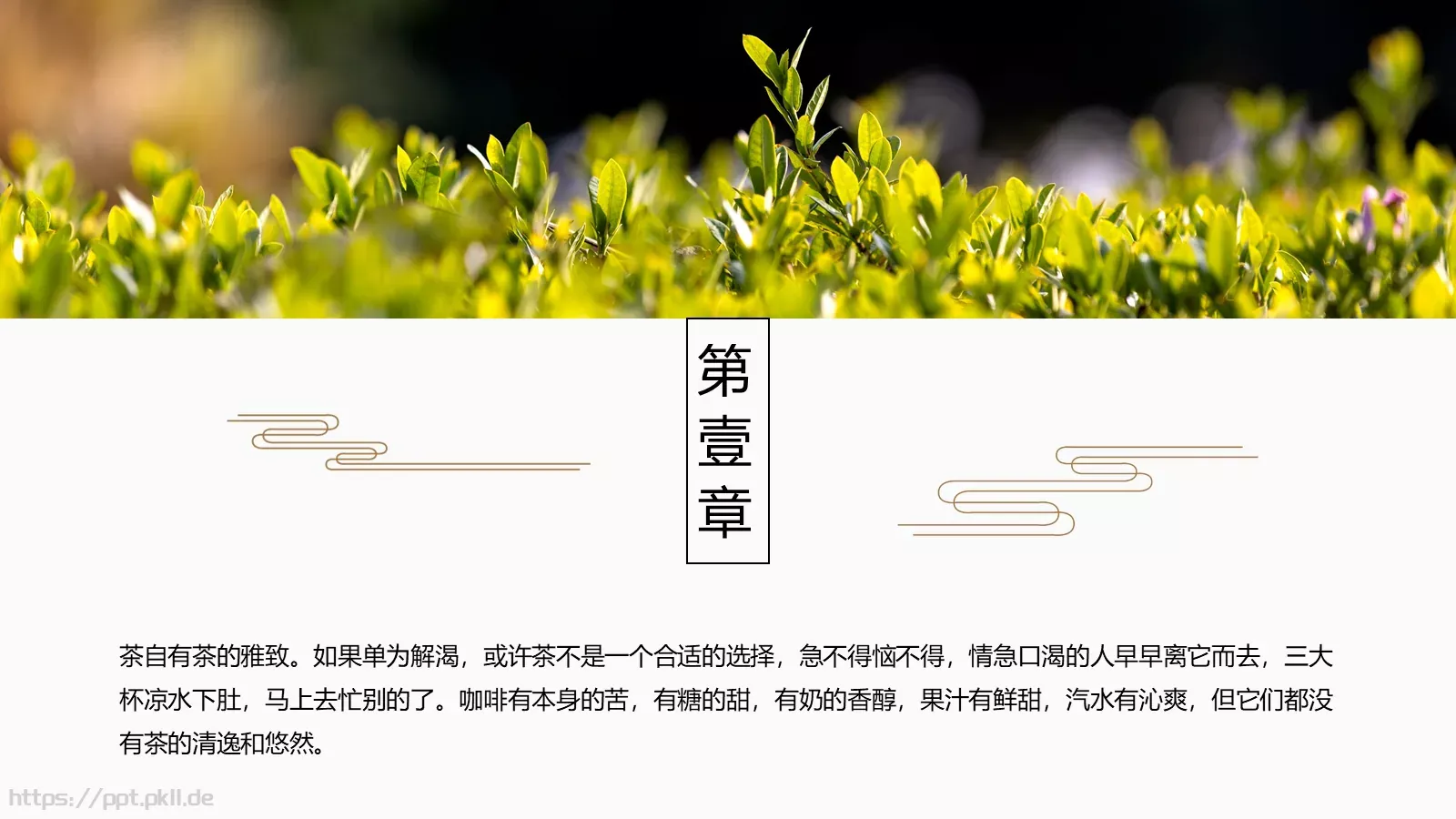 中国风茶叶茶文化宣传画册PPT模板 第 3 页缩略图