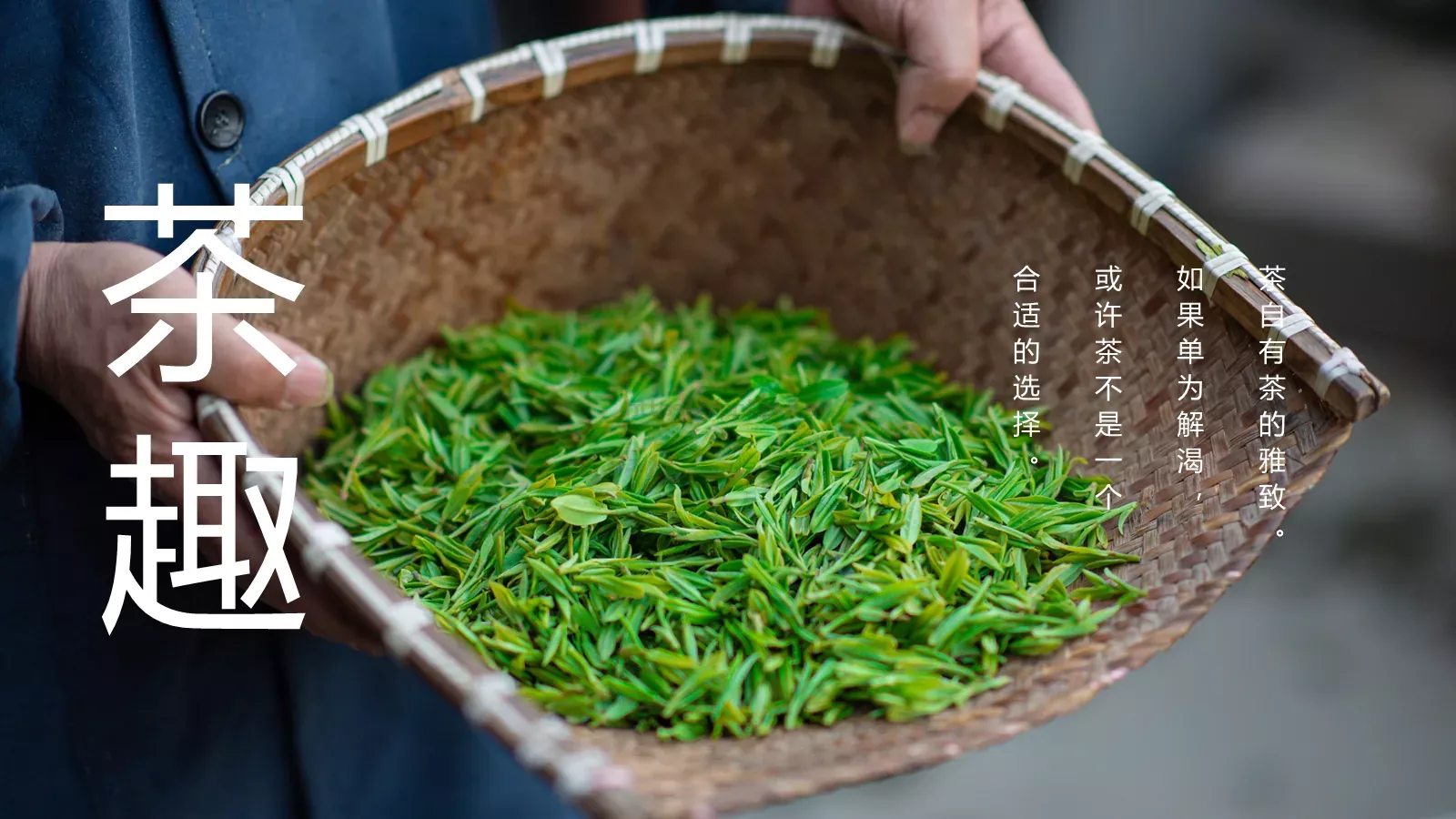 中国风茶叶茶文化宣传画册PPT模板 第 6 页预览图