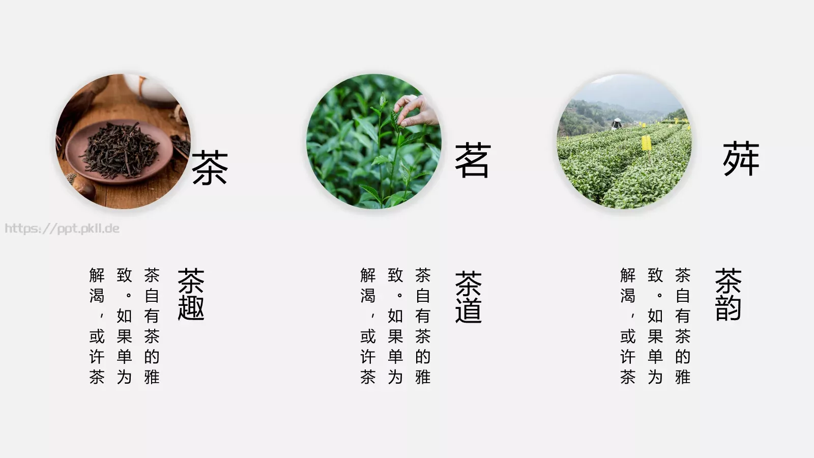 中国风茶叶茶文化宣传画册PPT模板 第 5 页预览图