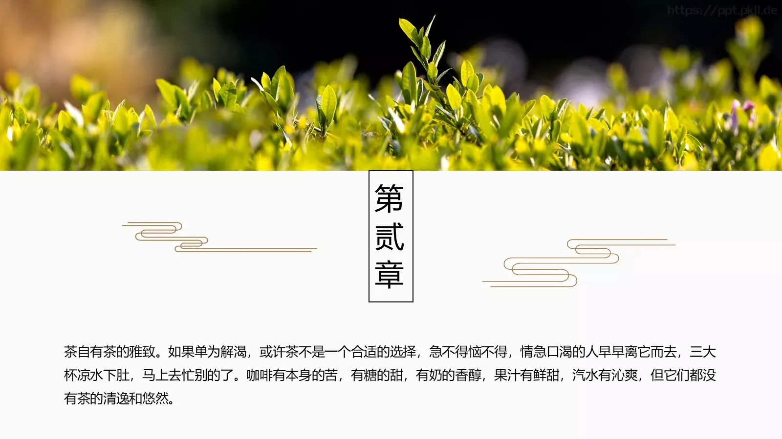 中国风茶叶茶文化宣传画册PPT模板 第 8 页预览图