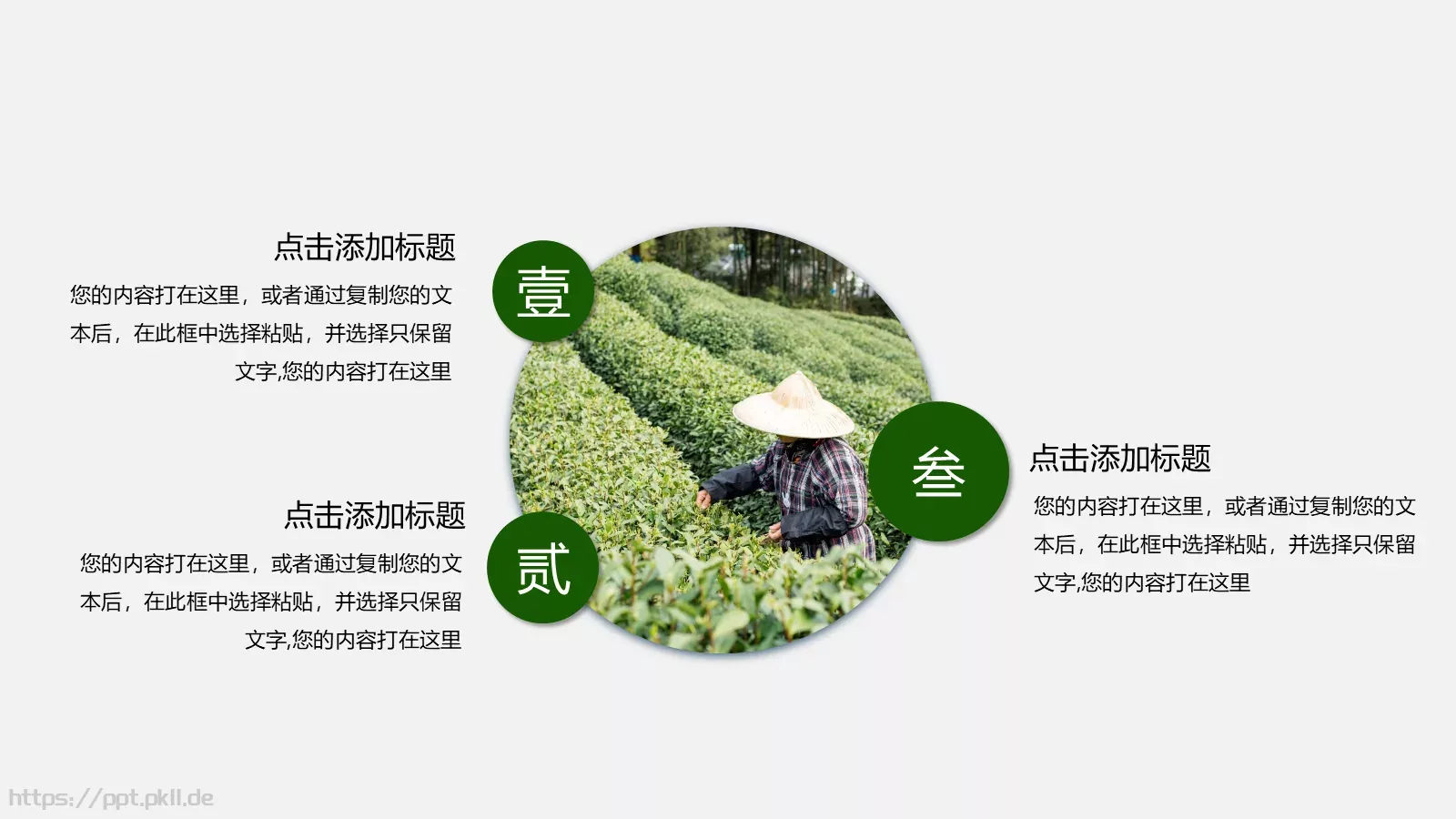 中国风茶叶茶文化宣传画册PPT模板 第 20 页预览图