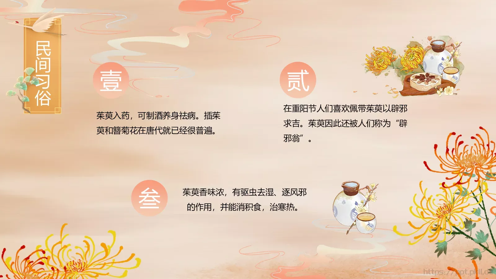 重阳节介绍PPT模板 第 8 页预览图