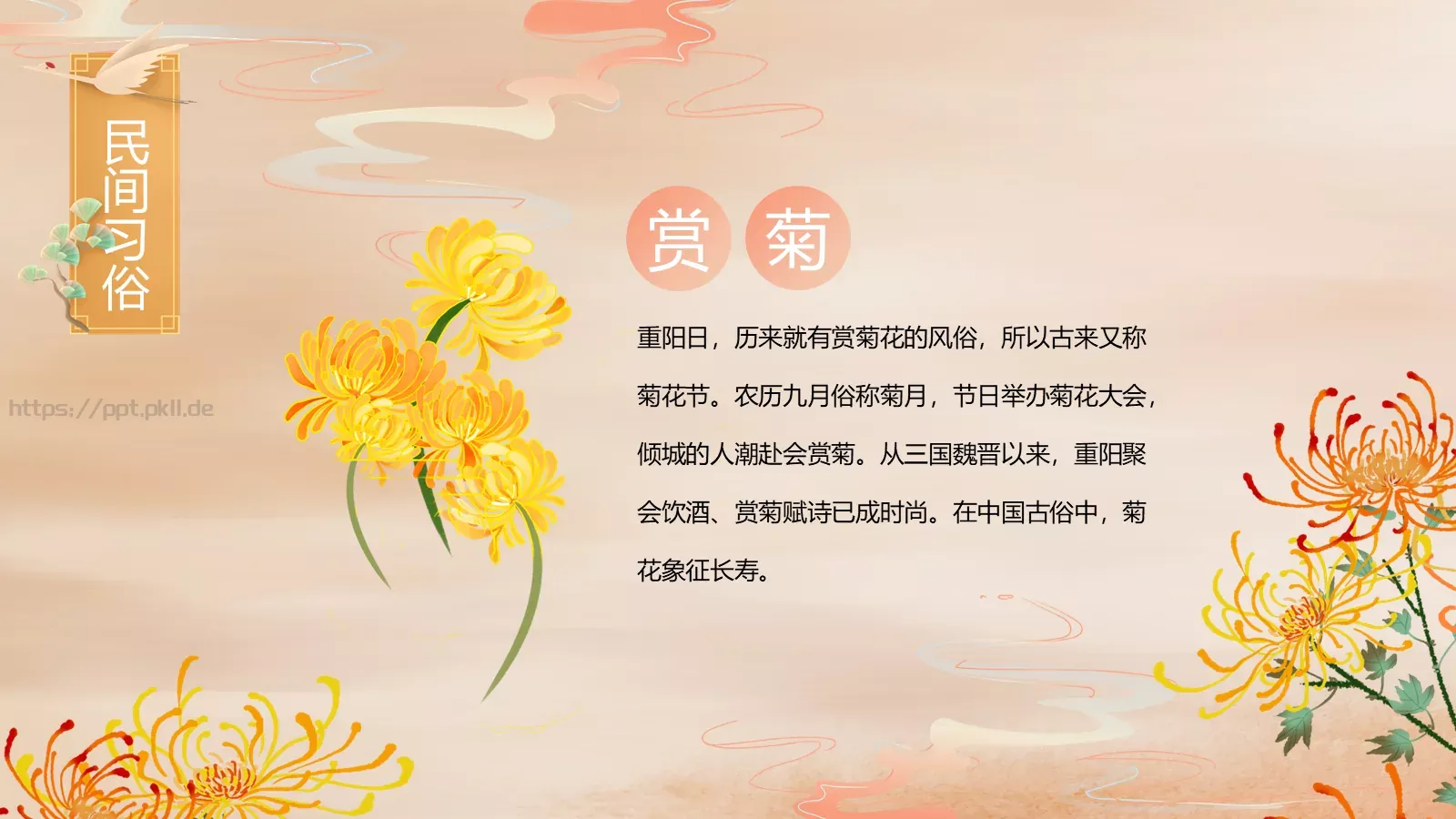 重阳节介绍PPT模板 第 11 页预览图