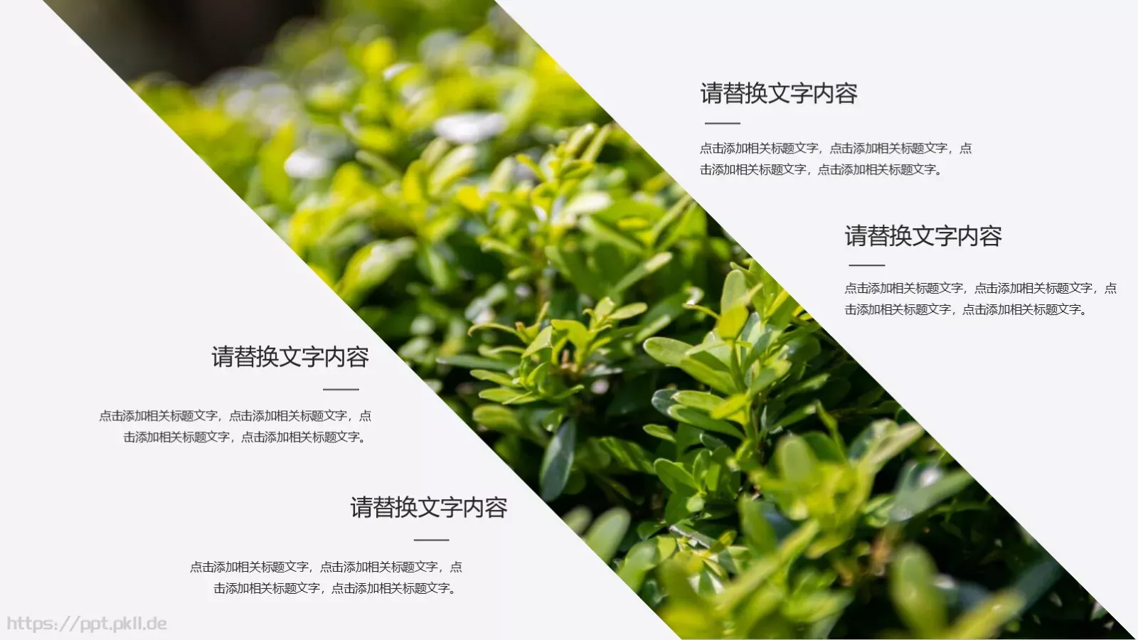 工作汇报PPT模板 第 4 页缩略图