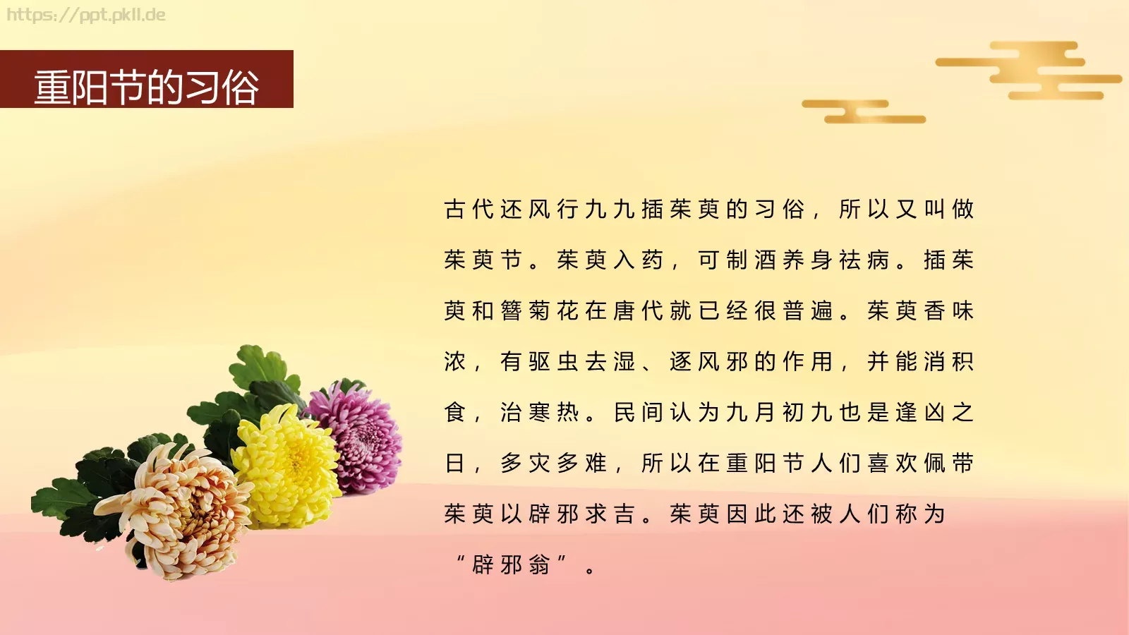 重阳节传统节日插画PPT模板 第 11 页预览图