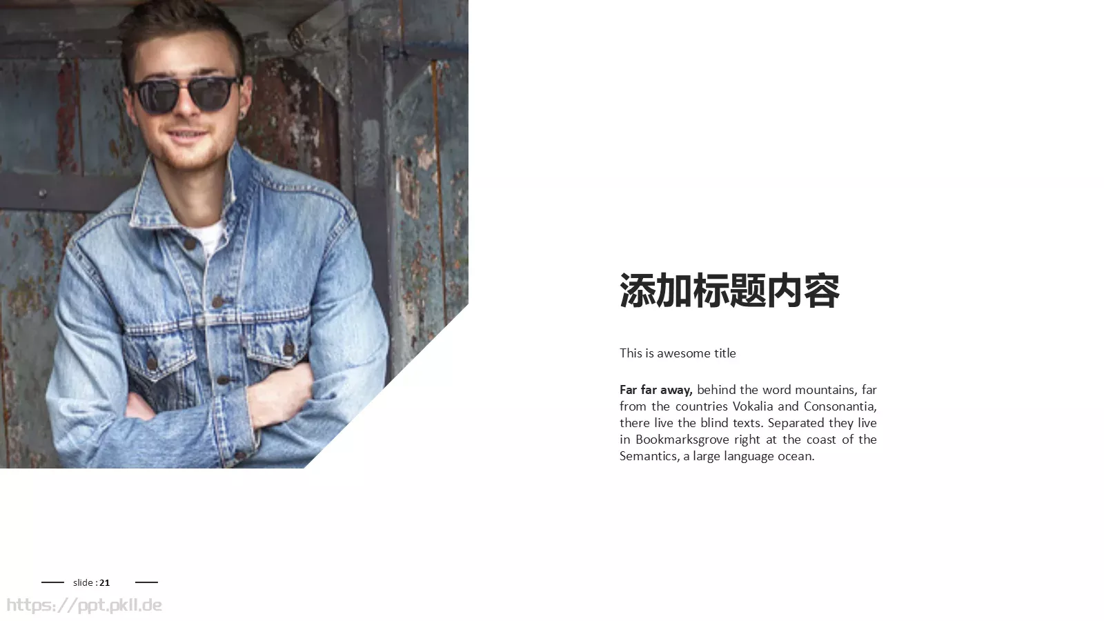 高端时尚品牌宣传PPT模板 第 21 页预览图