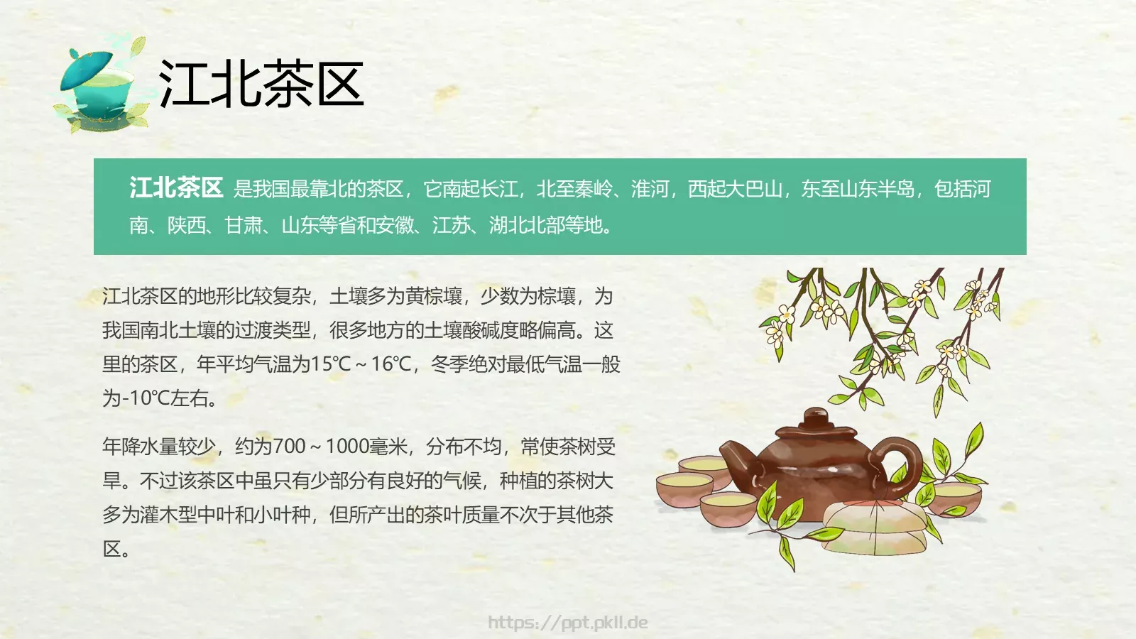 绿色中国风茶文化PPT模板 第 26 页预览图