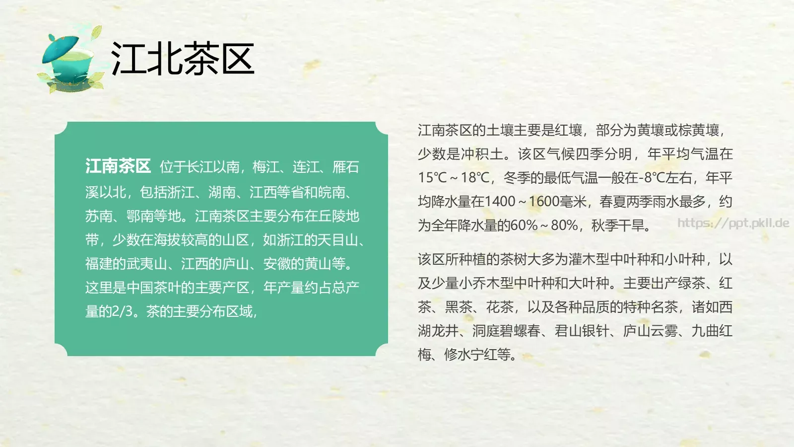 绿色中国风茶文化PPT模板 第 29 页预览图
