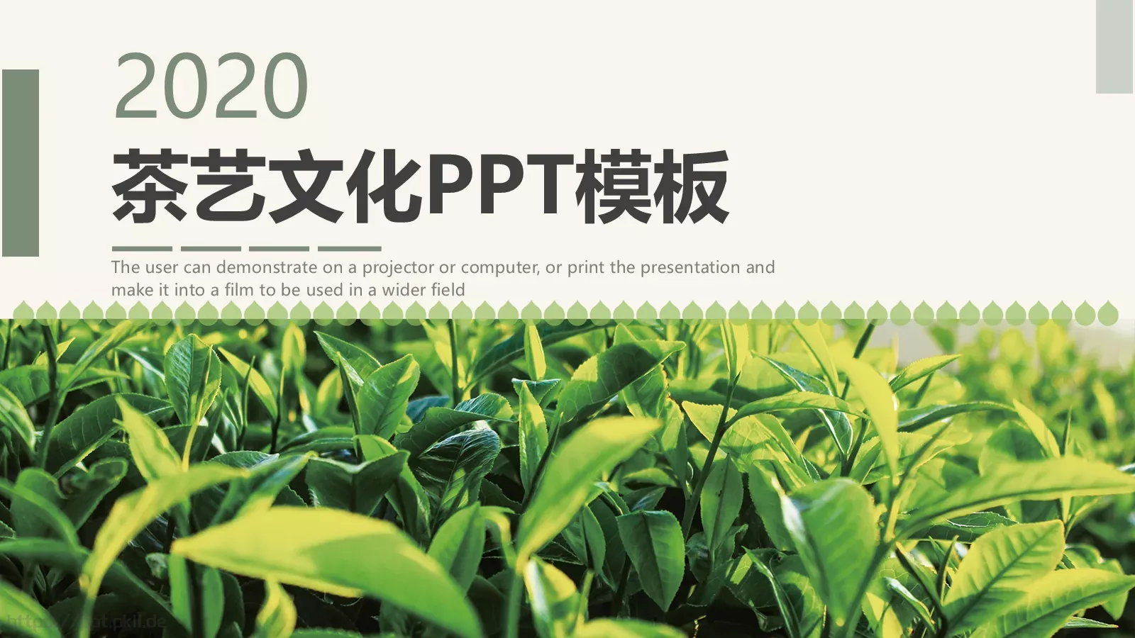 茶艺文化介绍PPT模板 第 1 页缩略图