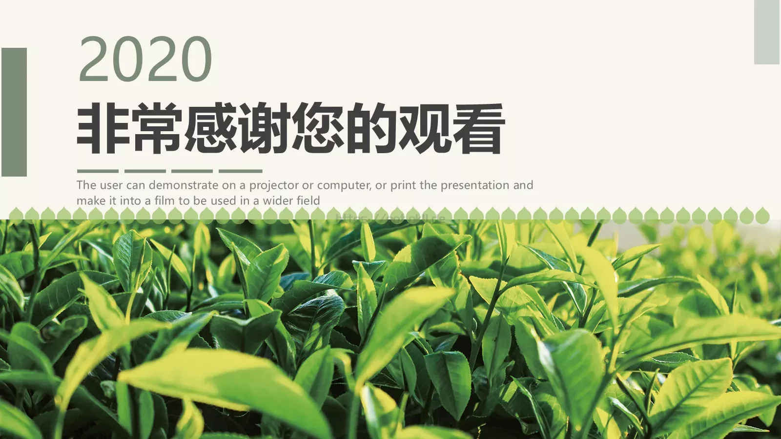 茶艺文化介绍PPT模板 第 20 页预览图