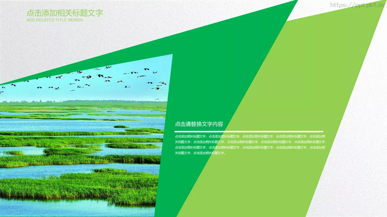 爱护环境 从我做起PPT模板 第 7 页预览图